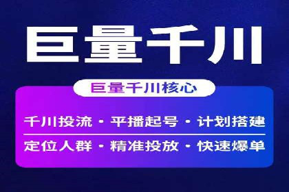 成功企业SEM竞价代运营案例研究